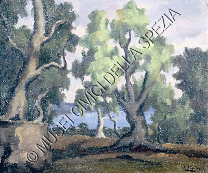 Ulivi (Seno delle Grazie)