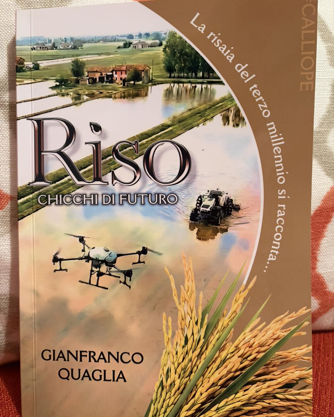 Riso chicchi di futuro